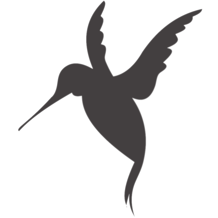 Colibri Logo Dark