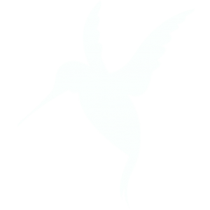 Colibri inverted logo